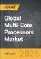 Multi-Core Processors - Global Strategic Business Report - Product Image