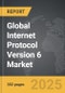 Internet Protocol Version 6 (IPv6) - Global Strategic Business Report - Product Image