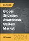 Situation Awareness System: Global Strategic Business Report - Product Thumbnail Image