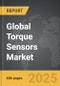 Torque Sensors - Global Strategic Business Report - Product Thumbnail Image