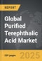 Purified Terephthalic Acid - Global Strategic Business Report - Product Thumbnail Image