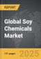 Soy Chemicals: Global Strategic Business Report - Product Thumbnail Image