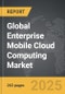 Enterprise Mobile Cloud Computing: Global Strategic Business Report - Product Thumbnail Image