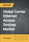 Carrier Ethernet Access Devices: Global Strategic Business Report - Product Image