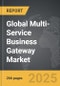 Multi-Service Business Gateway (MSBG) - Global Strategic Business Report - Product Thumbnail Image