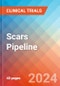 Scars - Pipeline Insight, 2022 - Product Image