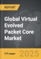 Virtual Evolved Packet Core (vEPC) - Global Strategic Business Report - Product Thumbnail Image