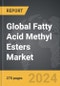 Fatty Acid Methyl Esters (FAME) - Global Strategic Business Report - Product Thumbnail Image