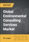 Environmental Consulting Services - Global Strategic Business Report - Product Image