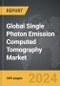 Single Photon Emission Computed Tomography (SPECT) - Global Strategic Business Report - Product Image