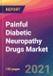 Painful Diabetic Neuropathy Drugs Market Size, Market Share, Application Analysis, Regional Outlook, Growth Trends, Key Players, Competitive Strategies and Forecasts, 2021 to 2029 - Product Image
