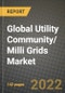 2022 Future of Global Utility Community/ Milli Grids Market Outlook to 2030 - Growth Opportunities, Competition and Outlook of Utility Community/ Milli Grids Market across Different Applications and Regions Report - Product Image