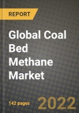 2022 Future of Global Coal Bed Methane (CBM) Market Outlook to 2030 - Growth Opportunities, Competition and Outlook of Coal Bed Methane (CBM) Market across Different Applications (Industrial, Power Generation, Residential, Commercial and Transportati- Product Image