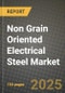 2024 Non Grain Oriented Electrical Steel Market Outlook Report: Industry Size, Market Shares Data, Insights, Growth Trends, Opportunities, Competition 2023 to 2031 - Product Thumbnail Image