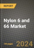 2024 Nylon 6 and 66 Market Outlook Report: Industry Size, Market Shares Data, Insights, Growth Trends, Opportunities, Competition 2023 to 2031- Product Image