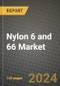 2024 Nylon 6 and 66 Market Outlook Report: Industry Size, Market Shares Data, Insights, Growth Trends, Opportunities, Competition 2023 to 2031 - Product Thumbnail Image