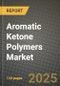 2024 Aromatic Ketone Polymers Market Outlook Report: Industry Size, Market Shares Data, Insights, Growth Trends, Opportunities, Competition 2023 to 2031 - Product Thumbnail Image