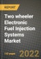 Two wheeler Electronic Fuel Injection Systems Market Size, Share, Outlook and Growth Opportunities 2022-2030 - Product Image