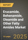 2025 Erucamide, Behenamide, Oleamide and Other Fatty Amides Market Outlook Report: Industry Size, Market Shares Data, Insights, Growth Trends, Opportunities, Competition 2024 to 2032- Product Image