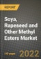 Soya, Rapeseed and Other Methyl Esters Market, Size, Share, Outlook and COVID-19 Strategies, Global Forecasts from 2022 to 2030 - Product Thumbnail Image