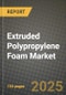 2025 Extruded Polypropylene (XPP) Foam Market Outlook Report: Industry Size, Market Shares Data, Insights, Growth Trends, Opportunities, Competition 2024 to 2032 - Product Image