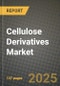 2024 Cellulose Derivatives Market Outlook Report: Industry Size, Market Shares Data, Insights, Growth Trends, Opportunities, Competition 2023 to 2031 - Product Image