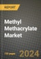 2024 Methyl Methacrylate Market Outlook Report: Industry Size, Market Shares Data, Insights, Growth Trends, Opportunities, Competition 2023 to 2031 - Product Image