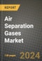 2024 Air Separation Gases Market Outlook Report: Industry Size, Market Shares Data, Insights, Growth Trends, Opportunities, Competition 2023 to 2031 - Product Thumbnail Image