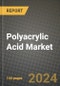 2024 Polyacrylic Acid Market Outlook Report: Industry Size, Market Shares Data, Insights, Growth Trends, Opportunities, Competition 2023 to 2031 - Product Thumbnail Image