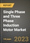 Single Phase and Three Phase Induction Motor Market Size Analysis and Outlook to 2030 - Potential Opportunities, Companies and Forecasts across its applications across End User Industries and Countries - Product Image