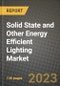 2023 Solid State and Other Energy Efficient Lighting Market Report - Global Industry Data, Analysis and Growth Forecasts by Type, Application and Region, 2022-2028 - Product Thumbnail Image