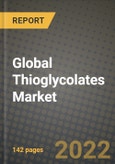 2022 Global Thioglycolates Market, Size, Share, Outlook and Growth Opportunities, Forecast to 2030- Product Image