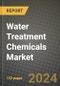 2024 Water Treatment Chemicals Market Outlook Report: Industry Size, Market Shares Data, Insights, Growth Trends, Opportunities, Competition 2023 to 2031 - Product Image