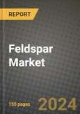 2024 Feldspar Market Outlook Report: Industry Size, Market Shares Data, Insights, Growth Trends, Opportunities, Competition 2023 to 2031- Product Image