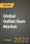 2022 Global Gellan Gum Market, Size, Share, Outlook and Growth Opportunities, Forecast to 2030 - Product Thumbnail Image