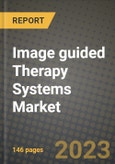 Image guided Therapy Systems Market Value forecast, New Business Opportunities and Companies: Outlook by Type, Application, by End User and by Country, 2022-2030- Product Image