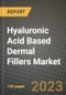 Hyaluronic Acid Based Dermal Fillers Market Growth Analysis Report - Latest Trends, Driving Factors and Key Players Research to 2030 - Product Image