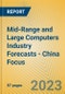 Mid-Range and Large Computers Industry Forecasts - China Focus - Product Image