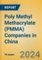 Poly Methyl Methacrylate (PMMA) Companies in China - Product Image