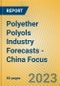 Polyether Polyols Industry Forecasts - China Focus - Product Image