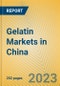 Gelatin Markets in China - Product Image