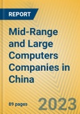 Mid-Range and Large Computers Companies in China- Product Image