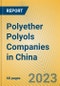 Polyether Polyols Companies in China - Product Image