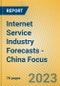 Internet Service Industry Forecasts - China Focus - Product Image