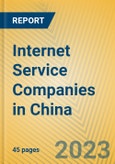 Internet Service Companies in China- Product Image