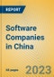 Software Companies in China - Product Thumbnail Image