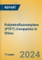 Polytetrafluoroetylene (PTFT) Companies in China - Product Image