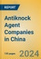 Antiknock Agent Companies in China - Product Image