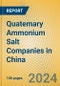 Quatemary Ammonium Salt Companies in China - Product Image