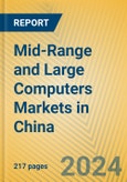 Mid-Range and Large Computers Markets in China- Product Image